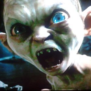 Meet your Posher, Bonner